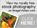 View my royalty free stock photography gallery on ImageVortex.com