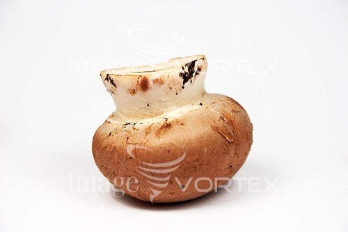 Food / drink royalty free stock image #100136899
