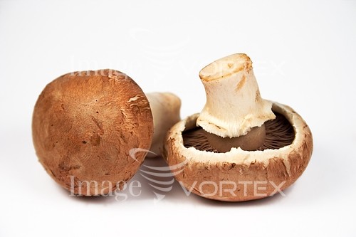 Food / drink royalty free stock image #100155748