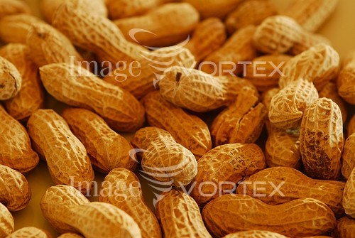 Food / drink royalty free stock image #101975155