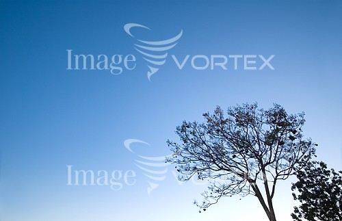 Nature / landscape royalty free stock image #101830762
