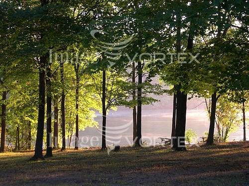 Nature / landscape royalty free stock image #102388173
