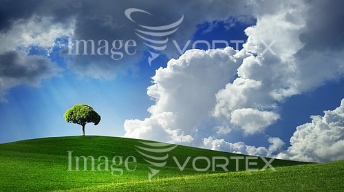 Nature / landscape royalty free stock image #103456829