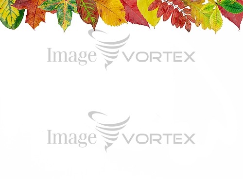 Background / texture royalty free stock image #103493246