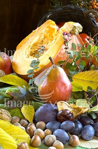 Food / drink royalty free stock image #104135169