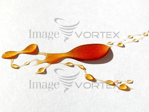Food / drink royalty free stock image #105062079