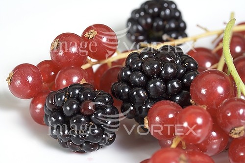 Food / drink royalty free stock image #107642418