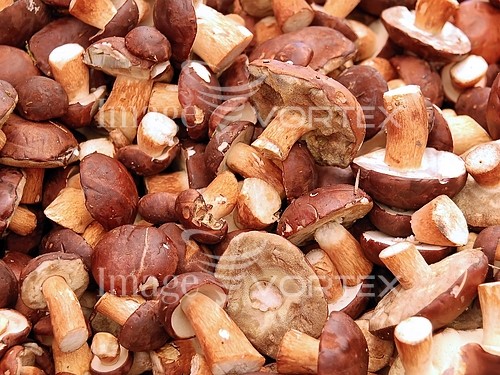Food / drink royalty free stock image #108086363