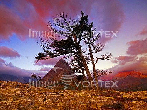 Nature / landscape royalty free stock image #111175866