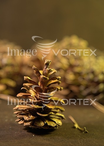 Christmas / new year royalty free stock image #114427068