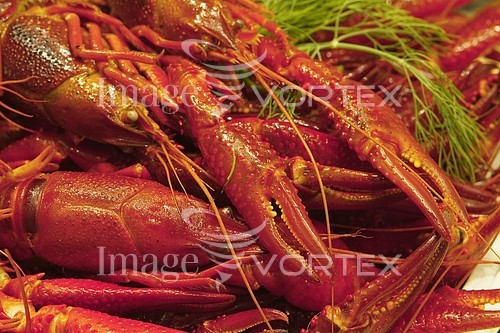 Food / drink royalty free stock image #115740298