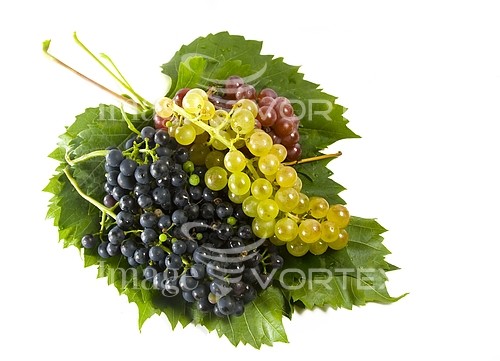 Food / drink royalty free stock image #118813481