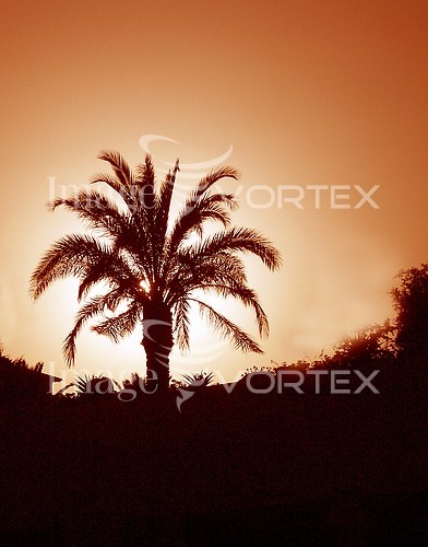 Sunset / sunrise royalty free stock image #122234143
