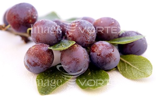 Food / drink royalty free stock image #123753169