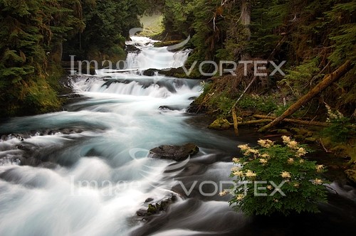 Nature / landscape royalty free stock image #125705141
