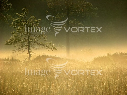 Nature / landscape royalty free stock image #127726959