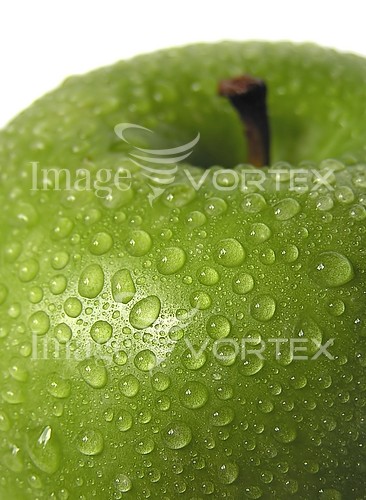Food / drink royalty free stock image #128303523