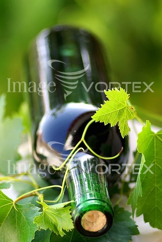 Food / drink royalty free stock image #130937938