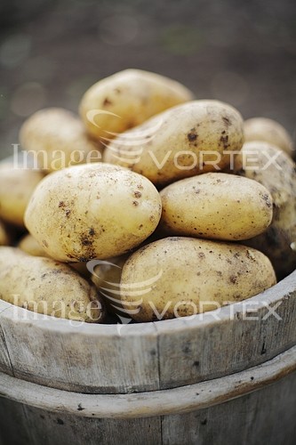 Food / drink royalty free stock image #132478640