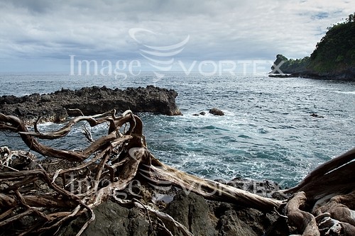 Nature / landscape royalty free stock image #133350842