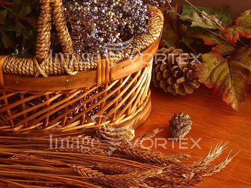 Household item royalty free stock image #135868178
