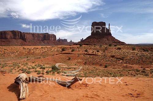 Nature / landscape royalty free stock image #136093923