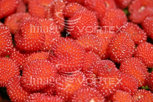 Food / drink royalty free stock image #136914156