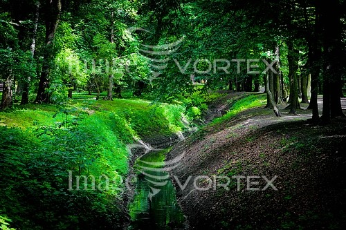 Park / outdoor royalty free stock image #138960623