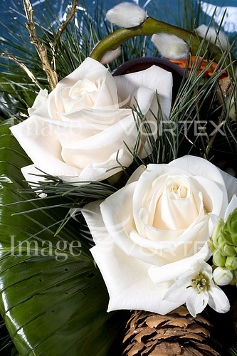 Flower royalty free stock image #140663047