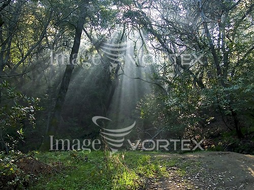 Nature / landscape royalty free stock image #140549354