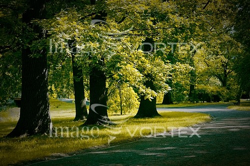 Park / outdoor royalty free stock image #140172900