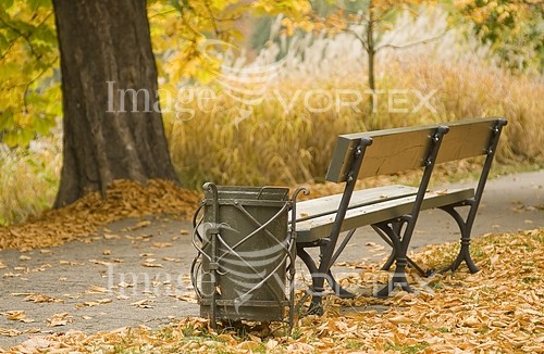 Park / outdoor royalty free stock image #141472791