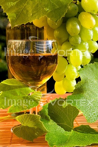 Food / drink royalty free stock image #141777702