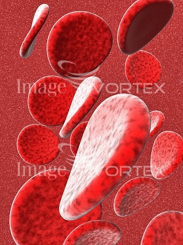Health care royalty free stock image #145752687