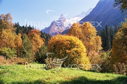 Nature / landscape royalty free stock image #145141342