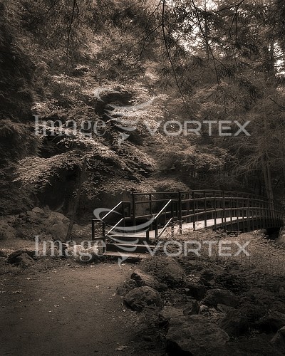 Park / outdoor royalty free stock image #152284315