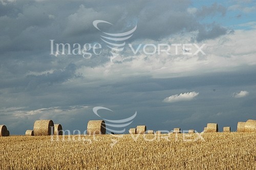 Industry / agriculture royalty free stock image #154396806
