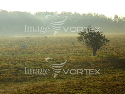 Nature / landscape royalty free stock image #154457088