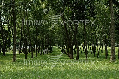 Nature / landscape royalty free stock image #154889928