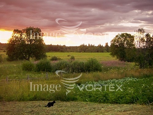 Nature / landscape royalty free stock image #155082550