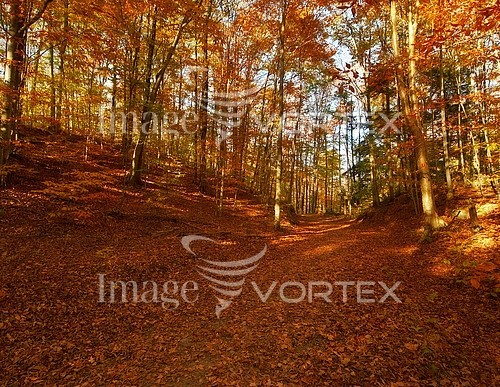 Nature / landscape royalty free stock image #156812586