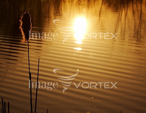 Sunset / sunrise royalty free stock image #156693972