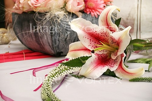 Flower royalty free stock image #159546915