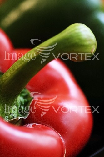 Food / drink royalty free stock image #159495312