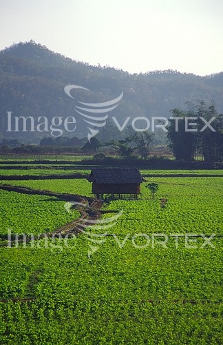 Industry / agriculture royalty free stock image #160791253