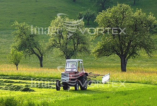 Industry / agriculture royalty free stock image #160288603