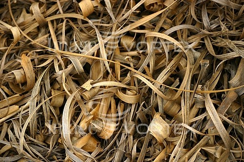Background / texture royalty free stock image #161374022