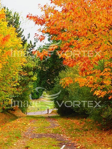 Nature / landscape royalty free stock image #161694236