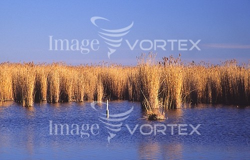 Nature / landscape royalty free stock image #161363188