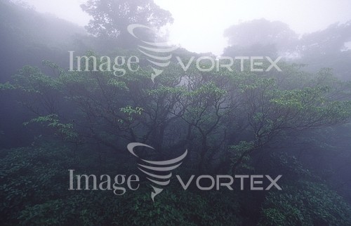 Nature / landscape royalty free stock image #163301368